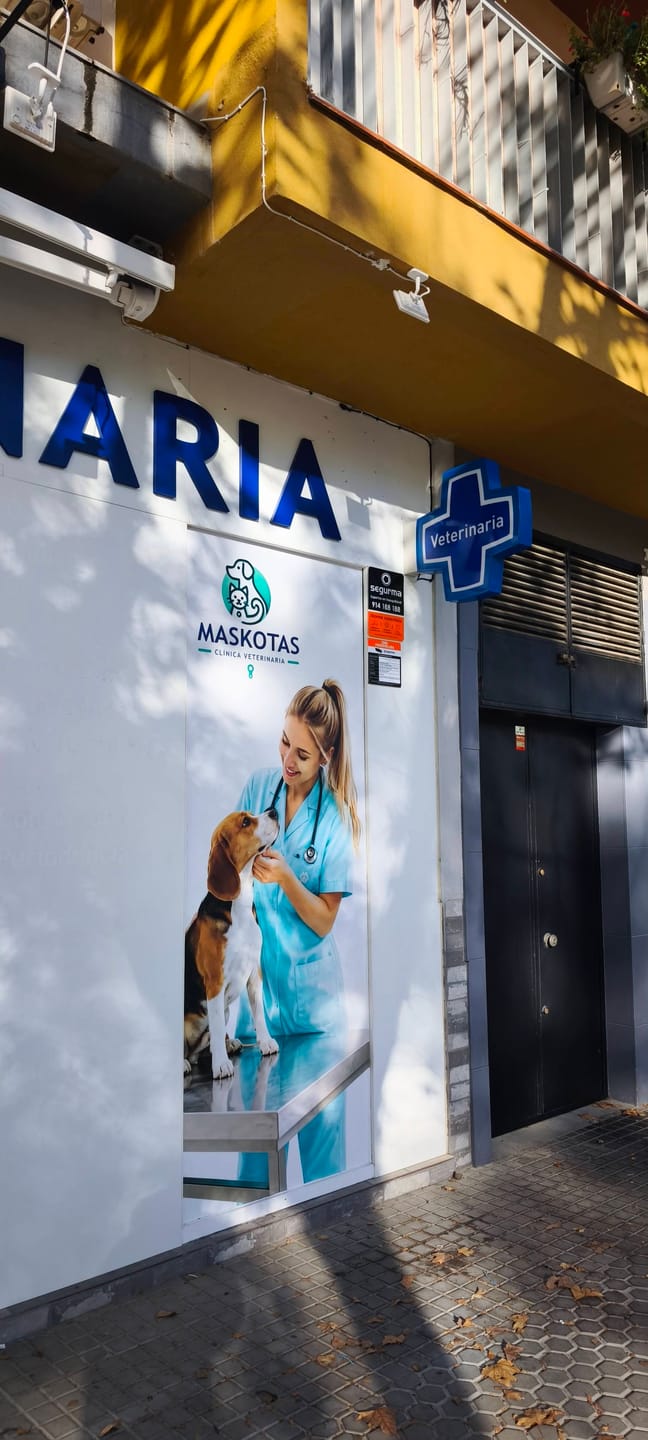 Customer photo review of Banderola Luminosa LED Cruz Veterinaria