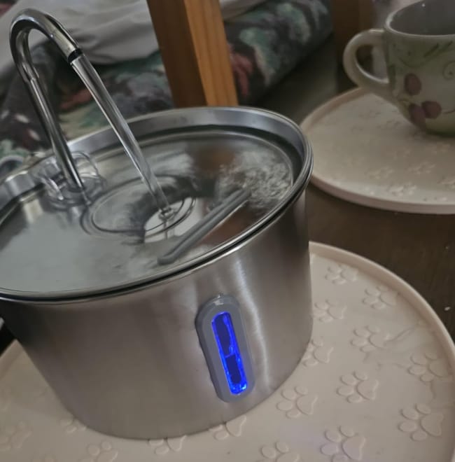 Customer photo review of IsaPet - Fuente de Agua Inalámbrica Mascotas 2.2L