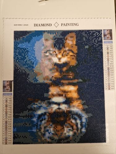Customer photo review of Small cat big tiger reflection | Diamond Painting Kit