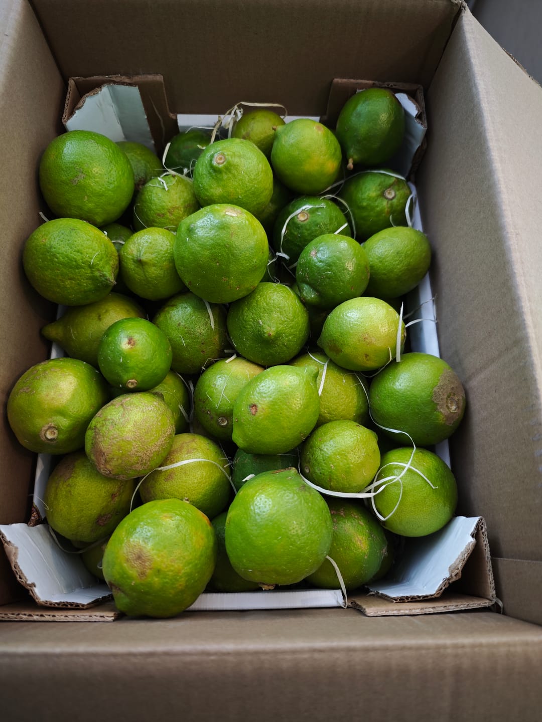 Customer photo review of Sommer-Zitronen (grün) Bio aus Sizilien 4kg Box Sparpreis % mit Schale verwertbar