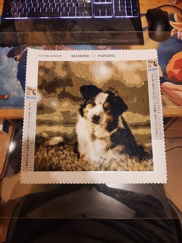Customer photo review of Your Photo | Custom Photo Diamond Painting Kit