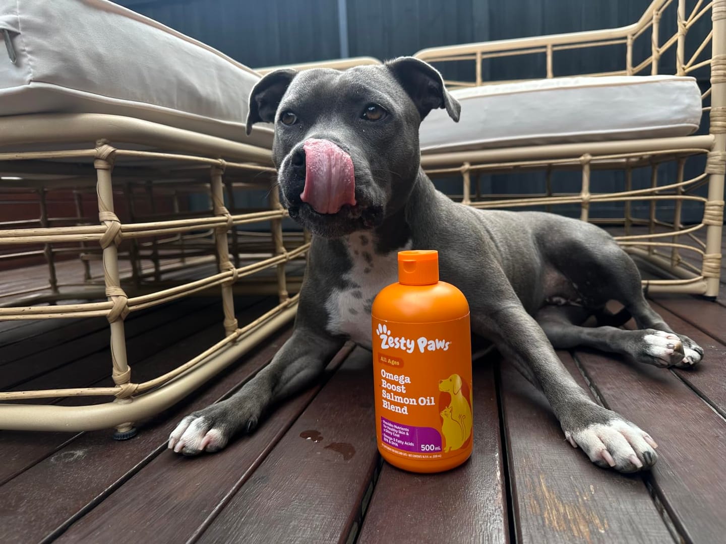 Customer photo review of Wild Alaska Omega-3 Pet Oil