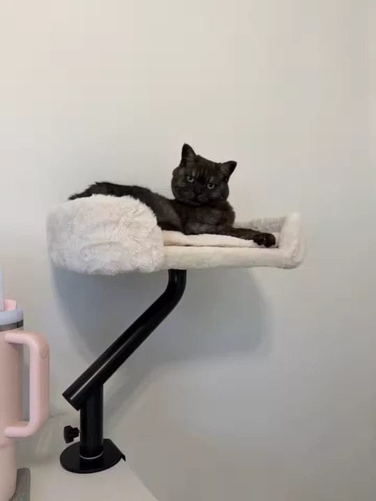 Customer photo review of Cat Desk Bed