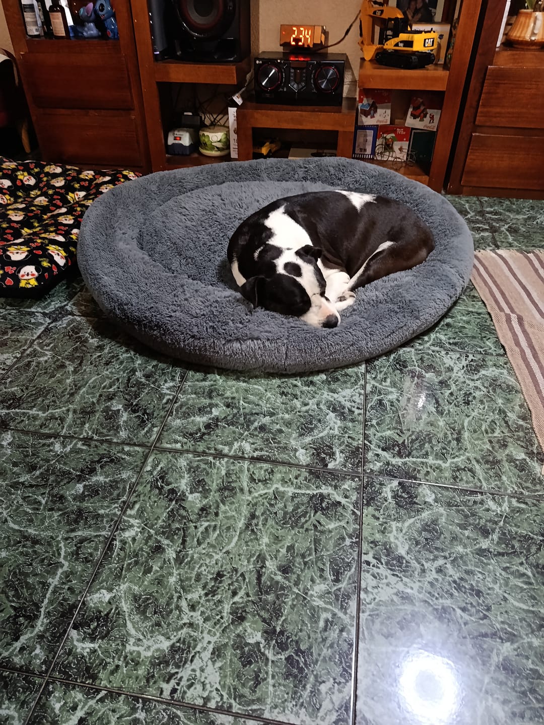 Customer photo review of Cama Sofá para Perros
