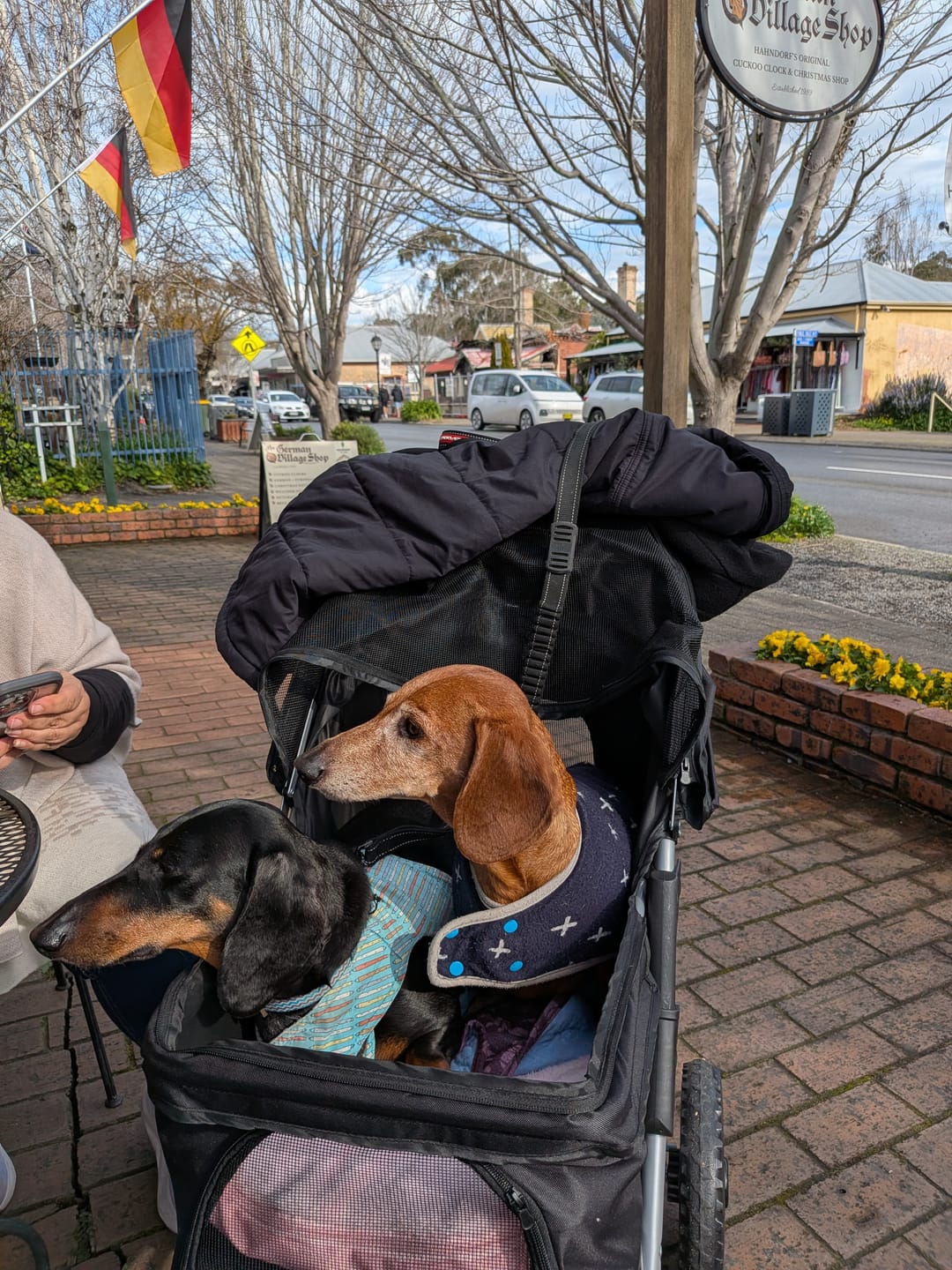 Customer photo review of Pet Dog Stroller Pram - Black
