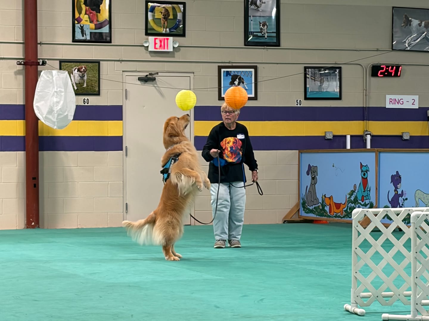Customer photo review of Golden Retriever Portrait Long Sleeve