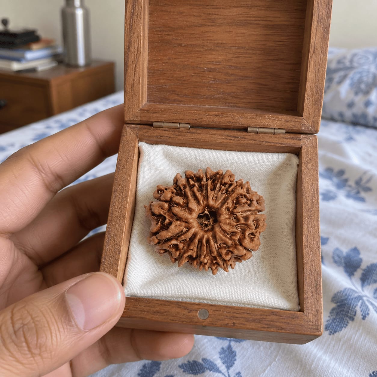 Customer photo review of 12 Mukhi Rudraksha (Nepali)