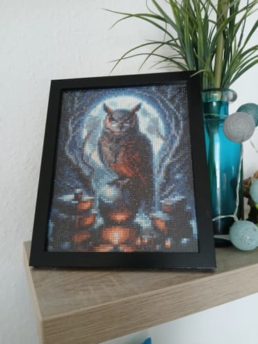 Customer photo review of Owl with chain | Diamond Painting Kit