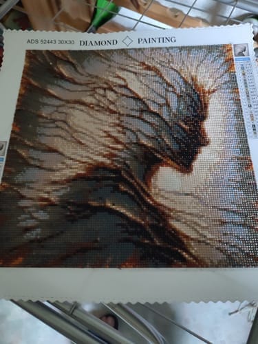 Customer photo review of Whispered elegance | Diamond Painting Kit