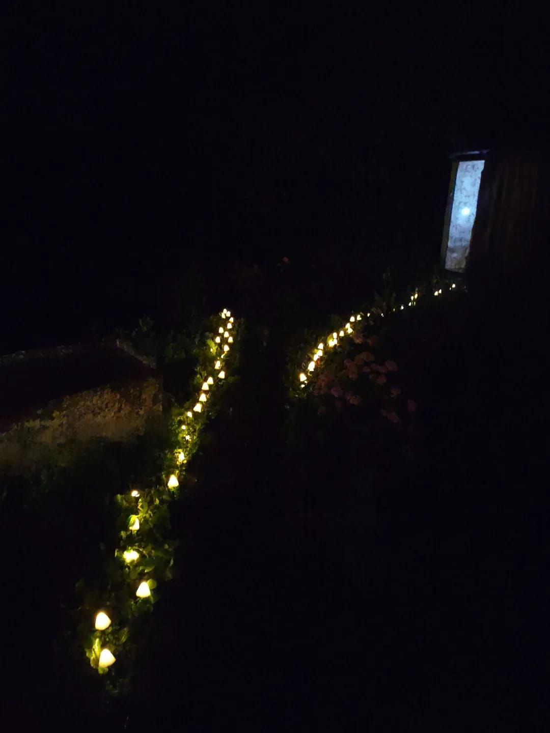 Customer photo review of Colourful String Lights for Garden, Solar Mushroom, 350 cm
