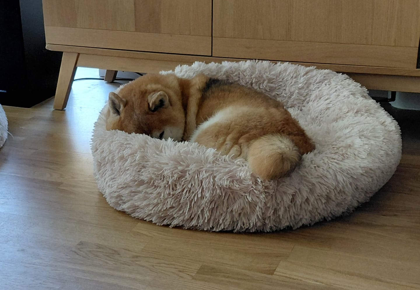 Customer photo review of CalmBed överdrag