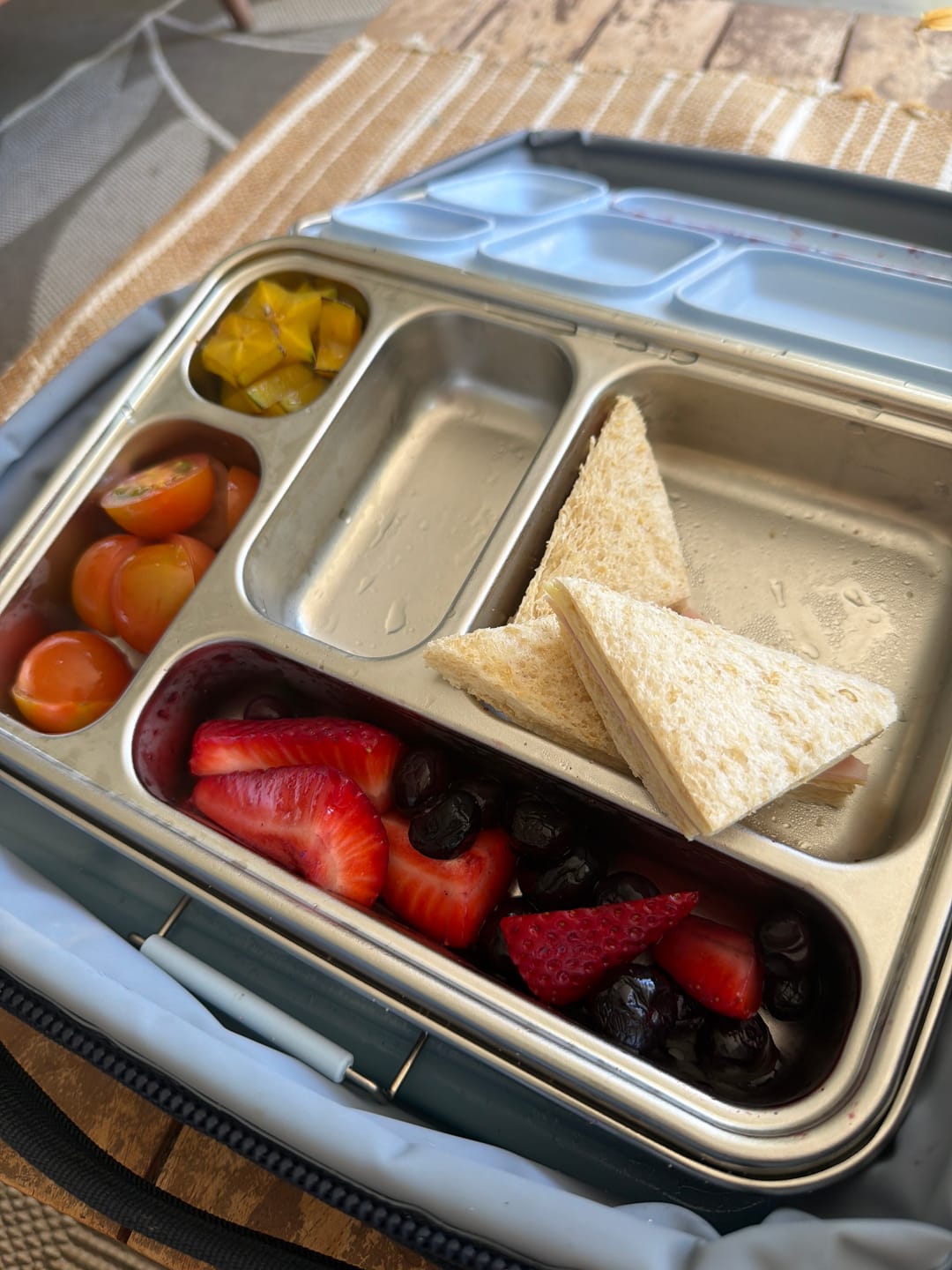 Customer photo review of ecococoon 5 Compartment Stainless Steel Bento Box - Blueberry - PRE ORDER