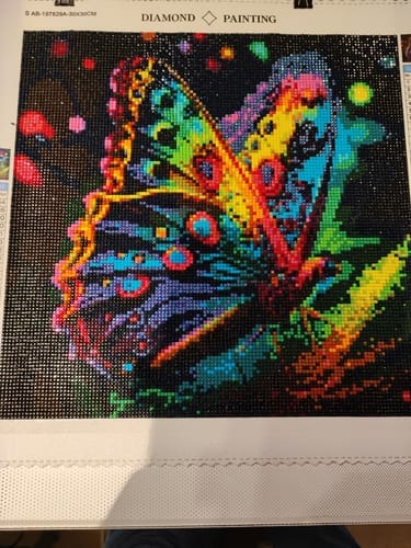 Customer photo review of Radiant Butterfly | AB Diamond Painting Kit