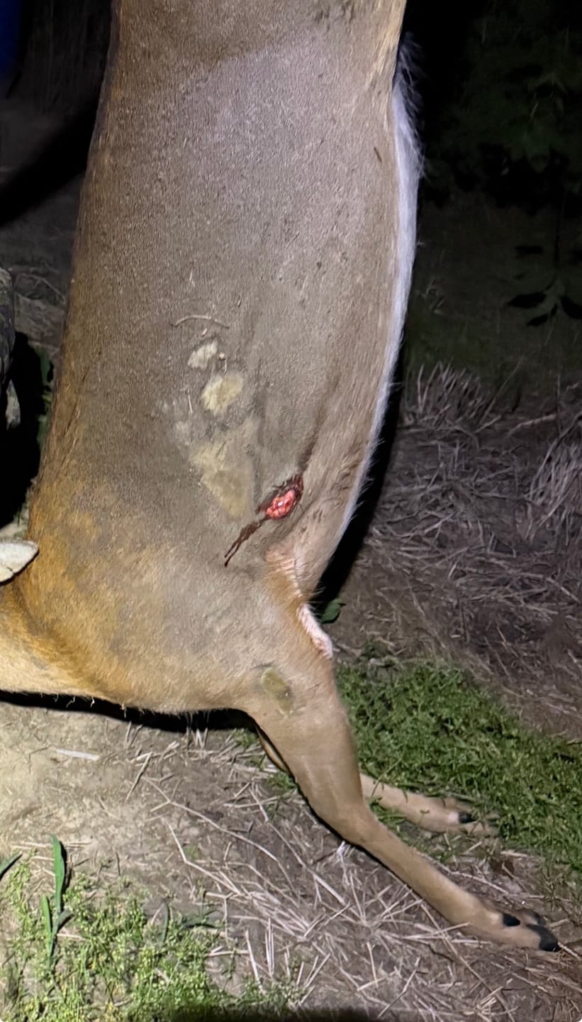 Customer photo review of Cut on Contact Titanium Broadheads (3 Pack)