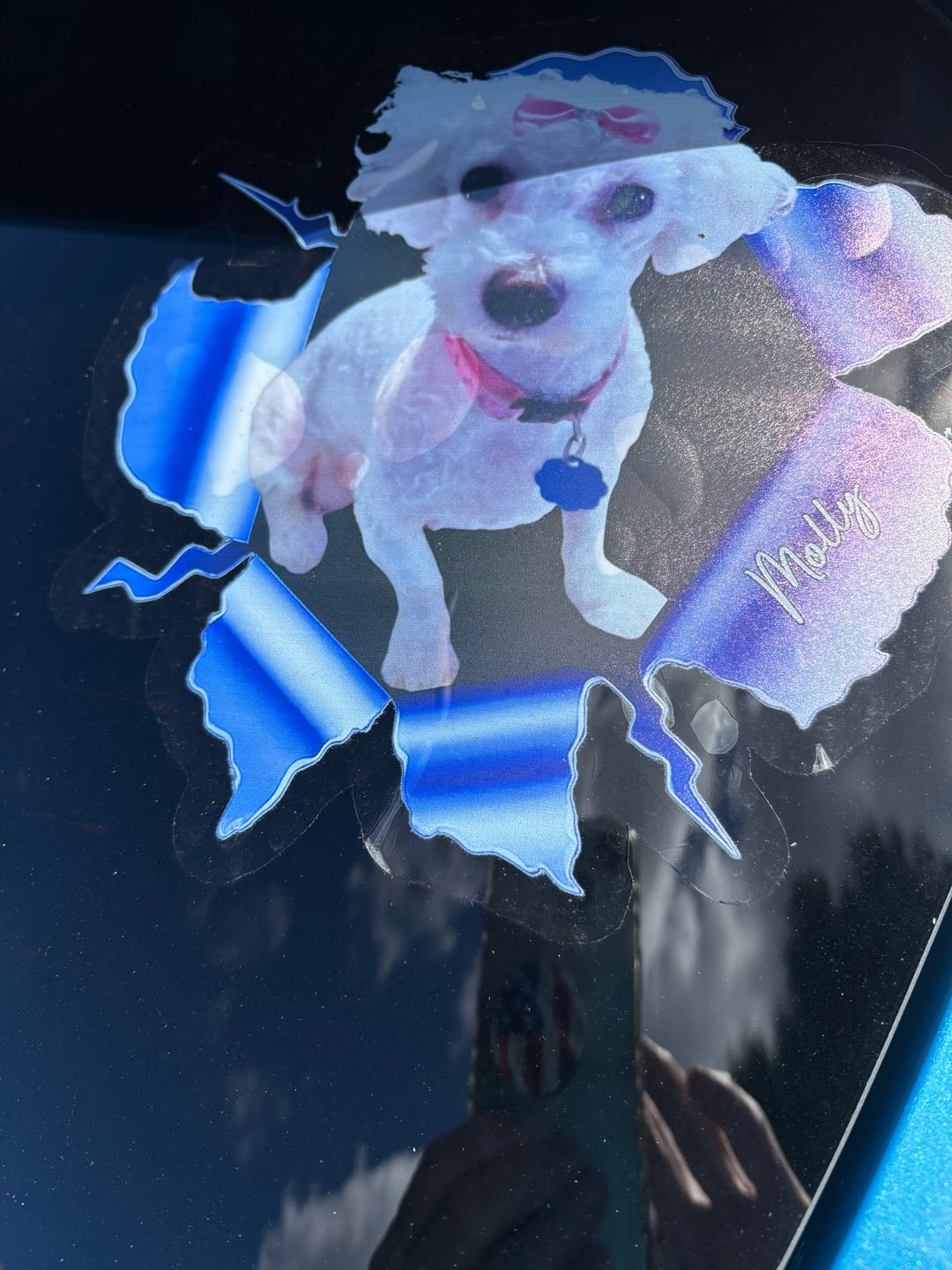 Customer photo review of Custom Photo RV Decal - Personalized Birthday Gifts For Dog Cat Lovers