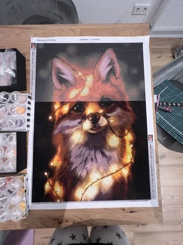 Customer photo review of Fairy lights fox | Diamond Painting Kit