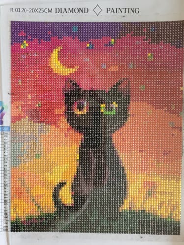 Customer photo review of Surprise Design | Mystery Diamond Painting Kit