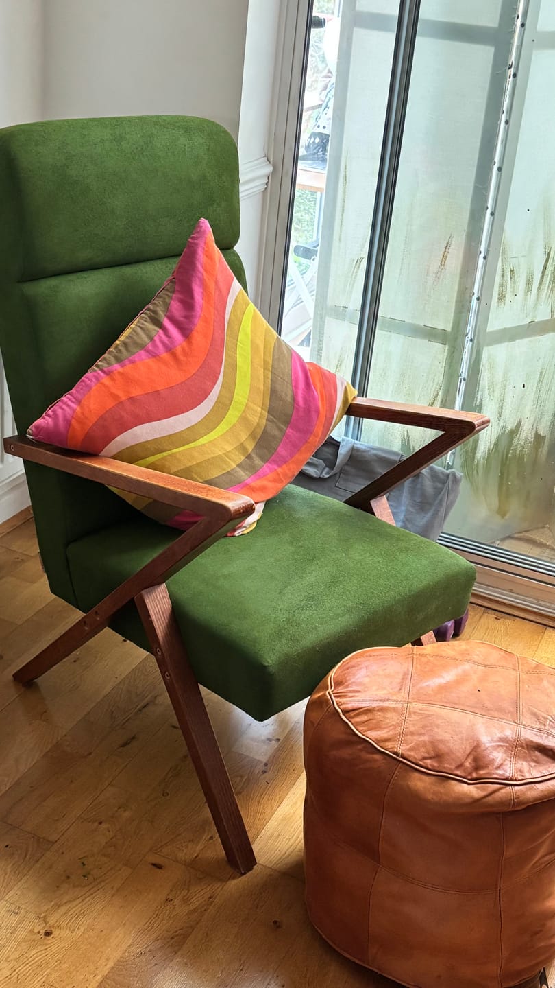 Customer photo review of Fabric Paint -- Olive