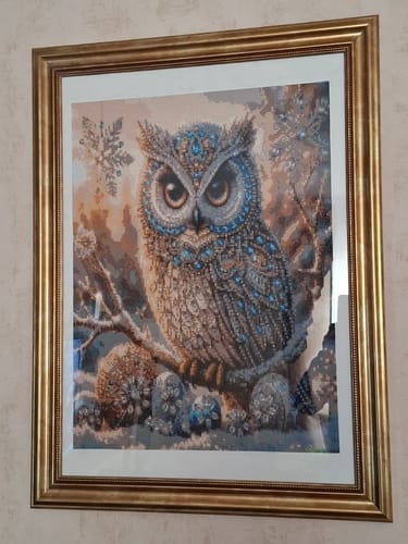 Customer photo review of The Crystal Owl | Diamond Painting Kit