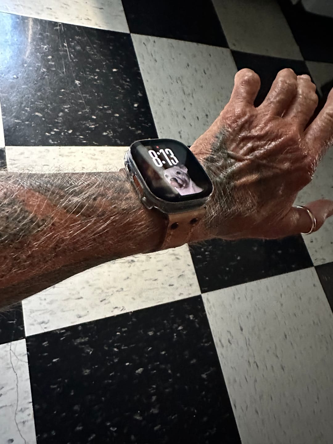 Customer photo review of Apple Watch Leather Band