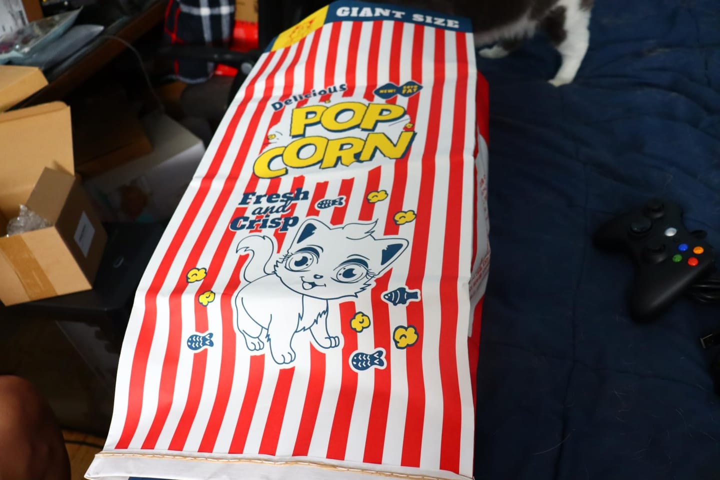 Customer photo review of CrinkleCove™ Double-Layer Paper Cat Hideout