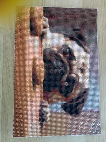 Customer photo review of A Hungry Pug's Temptation | Diamond Painting Kit