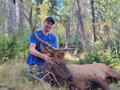 Customer photo review of Cut on Contact Titanium Broadheads (3 Pack)