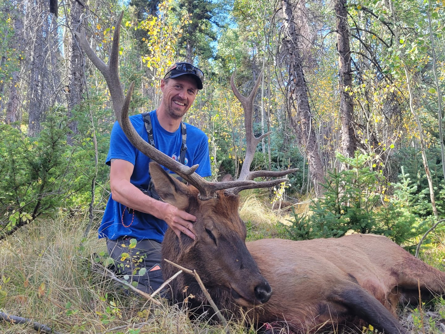 Customer photo review of Cut on Contact Titanium Broadheads (3 Pack)