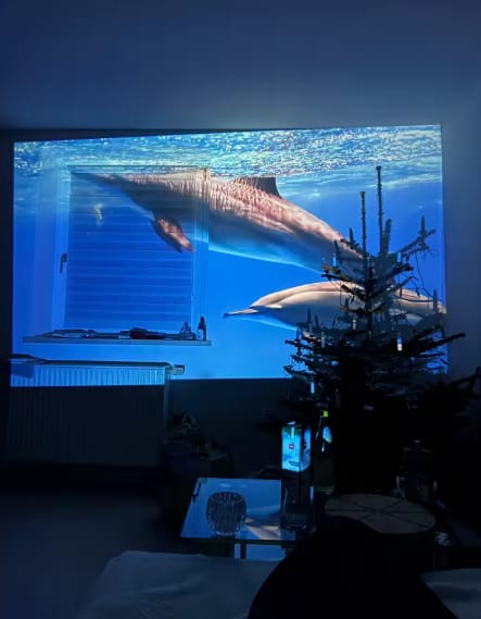 Customer photo review of Kids Educational Projector