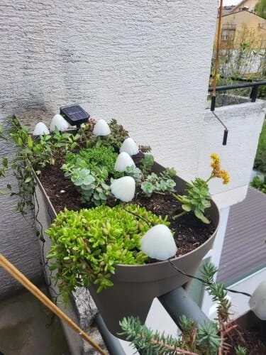 Customer photo review of Colourful String Lights for Garden, Solar Mushroom, 350 cm