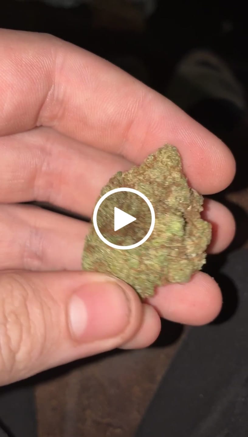 Customer video review of Gorilla Glue THCA Flower