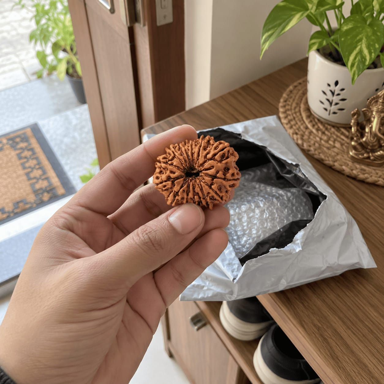 Customer photo review of 13 Mukhi Rudraksha (Nepali)