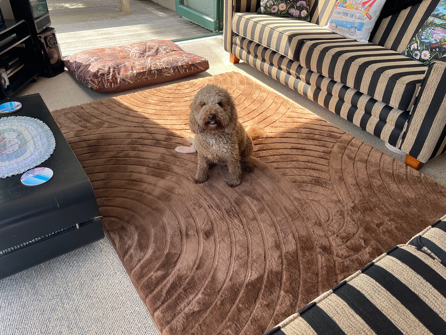 Customer photo review of Designer Relax Mat