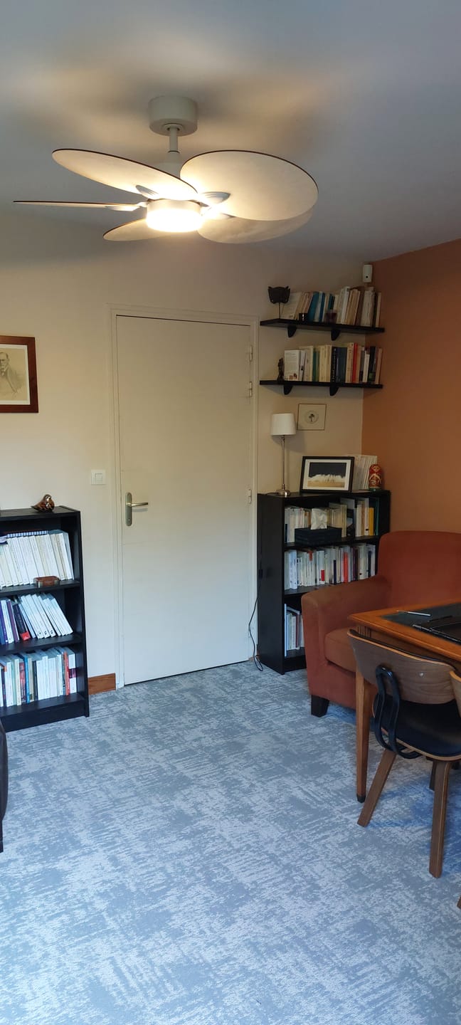 Customer photo review of Lotus | Ventilateur de plafond