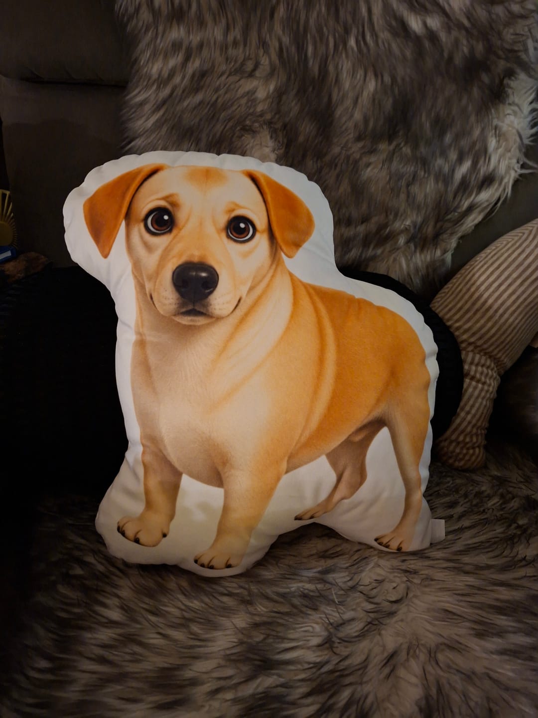 Customer photo review of Personalisiertes Formkissen - Cartoon Hund