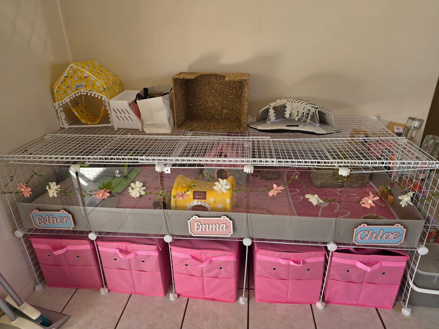 Customer photo review of Ozzy Pets Storage Box for Ozzy Cages