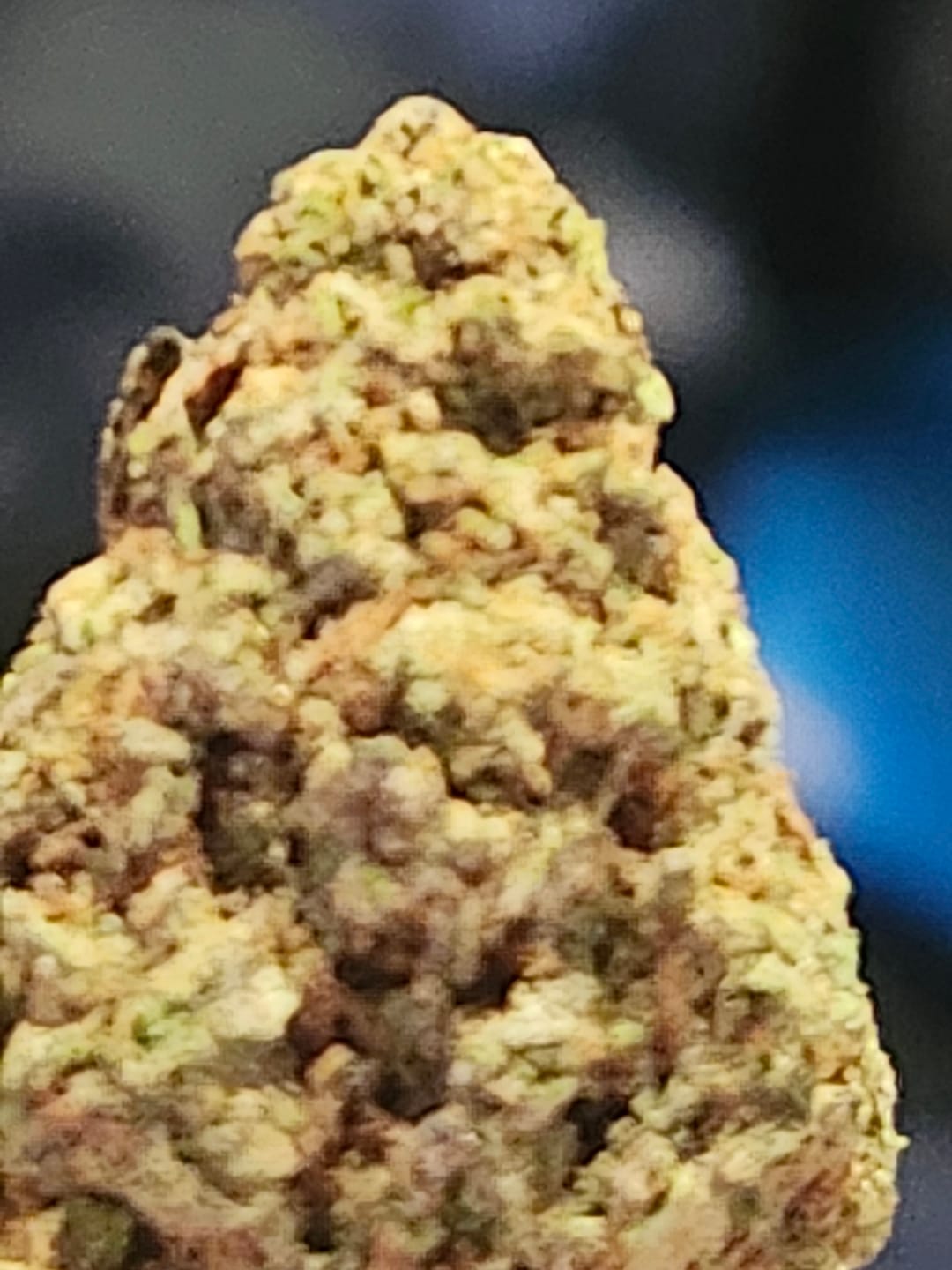 Customer photo review of Gorilla Glue THCA Flower (Purple Cut)