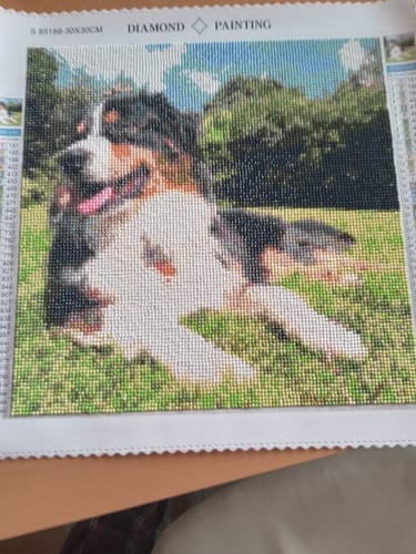 Customer photo review of Your Photo | Custom Photo Diamond Painting Kit