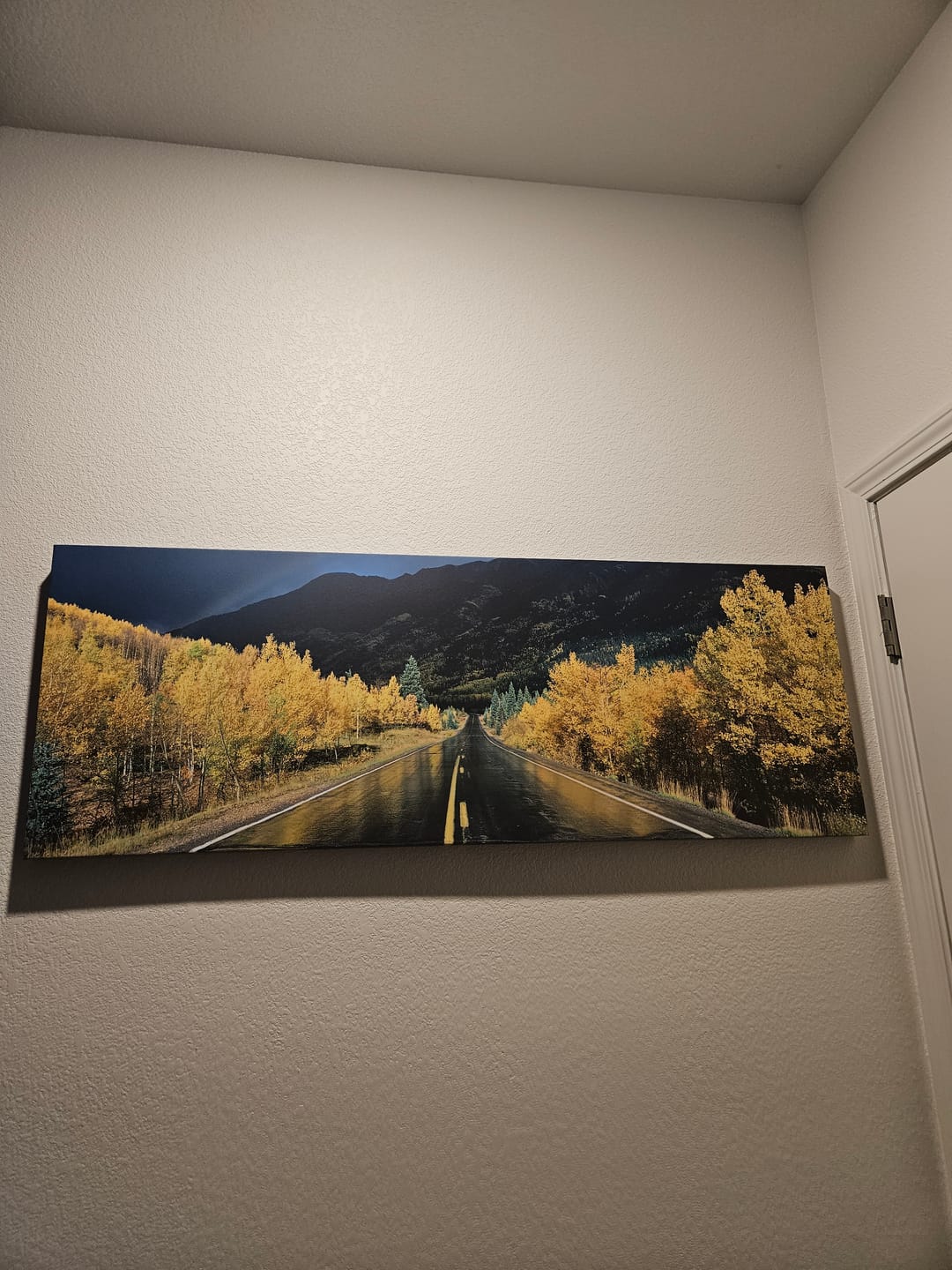 Customer photo review of Million Dollar Highway