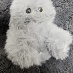 Customer photo review of Bolyhi – interaktív plüss, ami visszabeszél 🐾