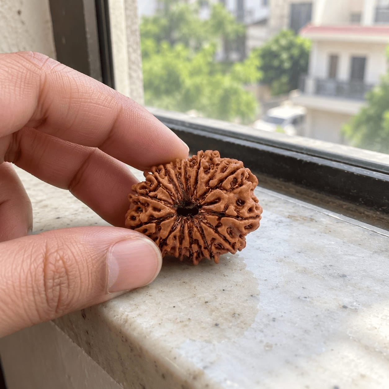 Customer photo review of 13 Mukhi Rudraksha (Nepali)