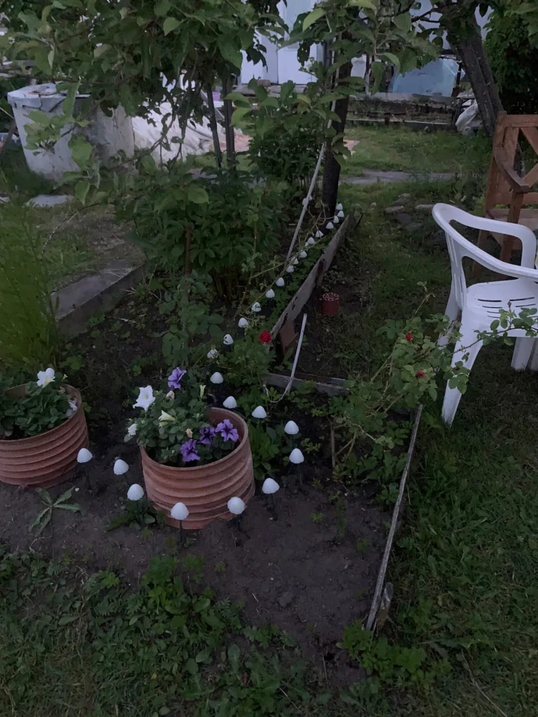 Customer photo review of Colourful String Lights for Garden, Solar Mushroom, 350 cm