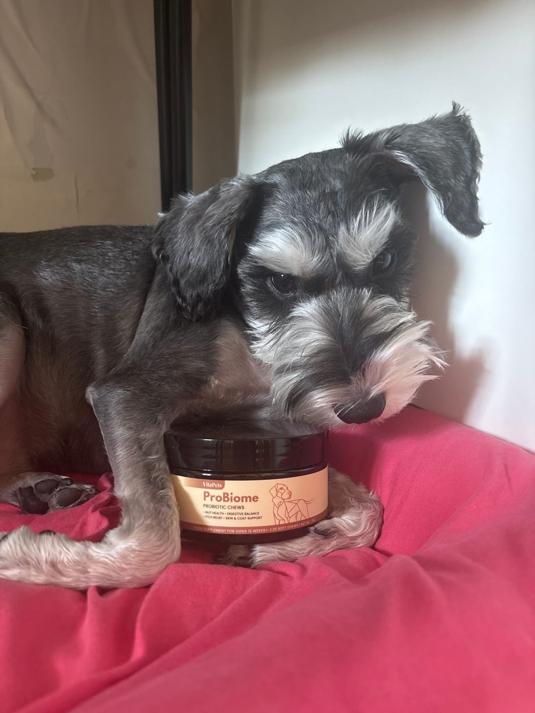 Customer photo review of ProBiome™狗狗益生菌軟粒