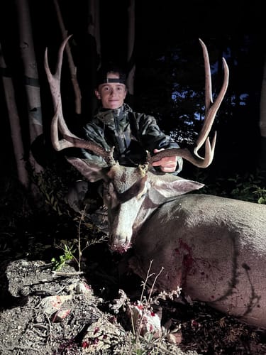 Customer photo review of Cut on Contact Titanium Broadheads (3 Pack)