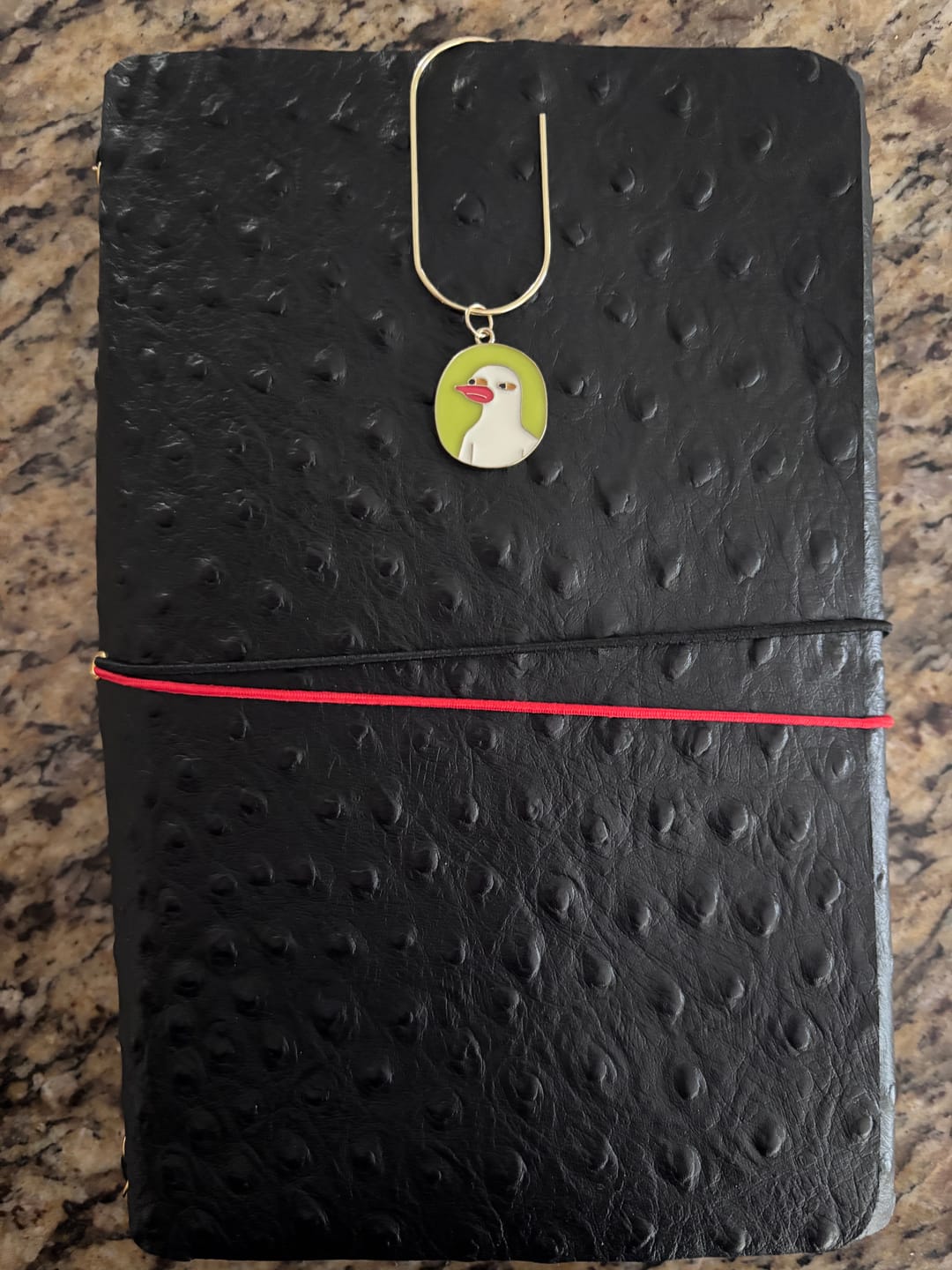 Customer photo review of GOLD Charm Holder Clips (Set of 2)