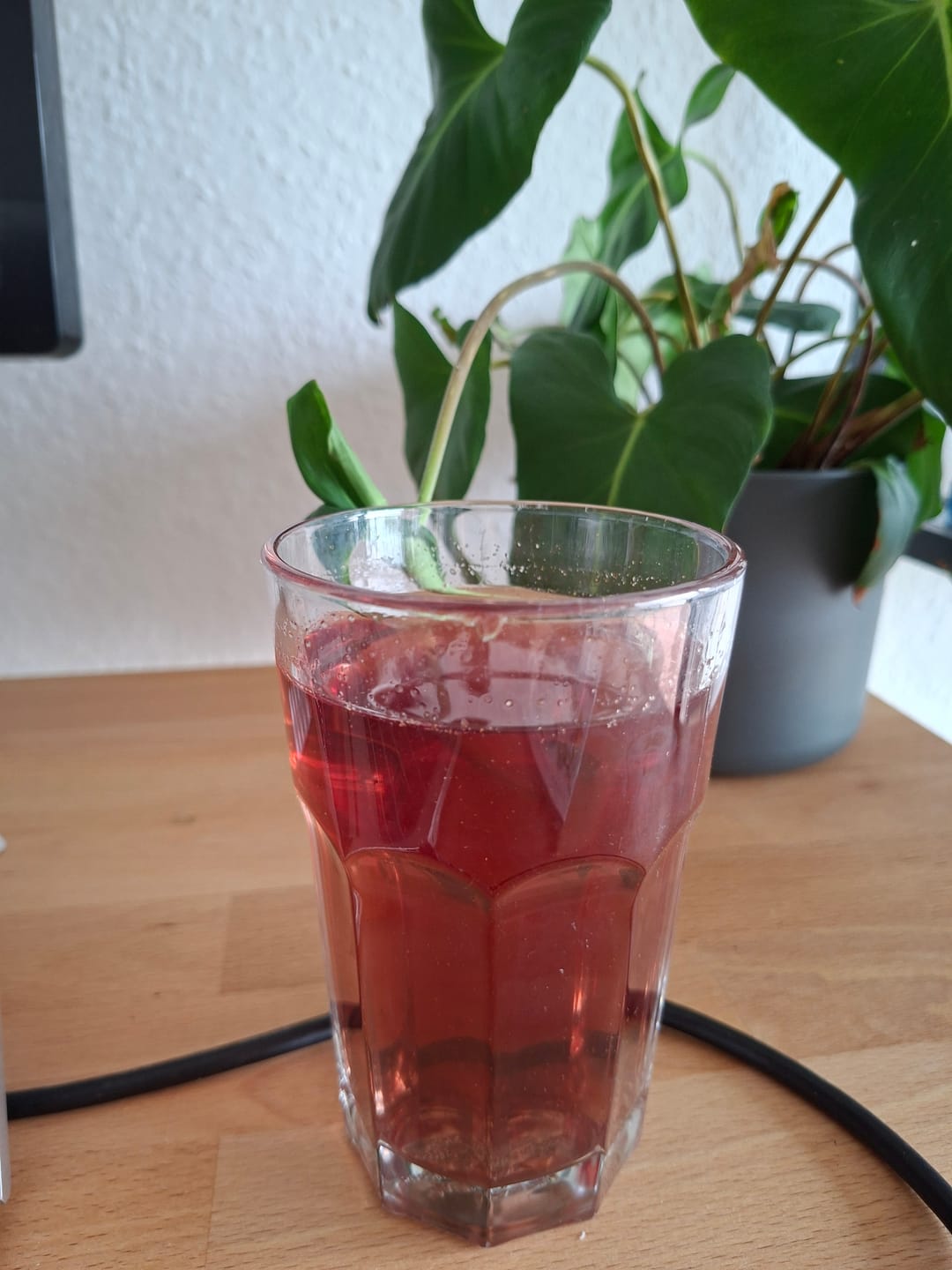 Customer photo review of Coven Fizz Cold Brew Tee – Holunder Eistee