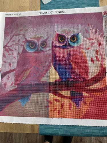 Customer photo review of Owl Love | AB Diamond Painting Kit