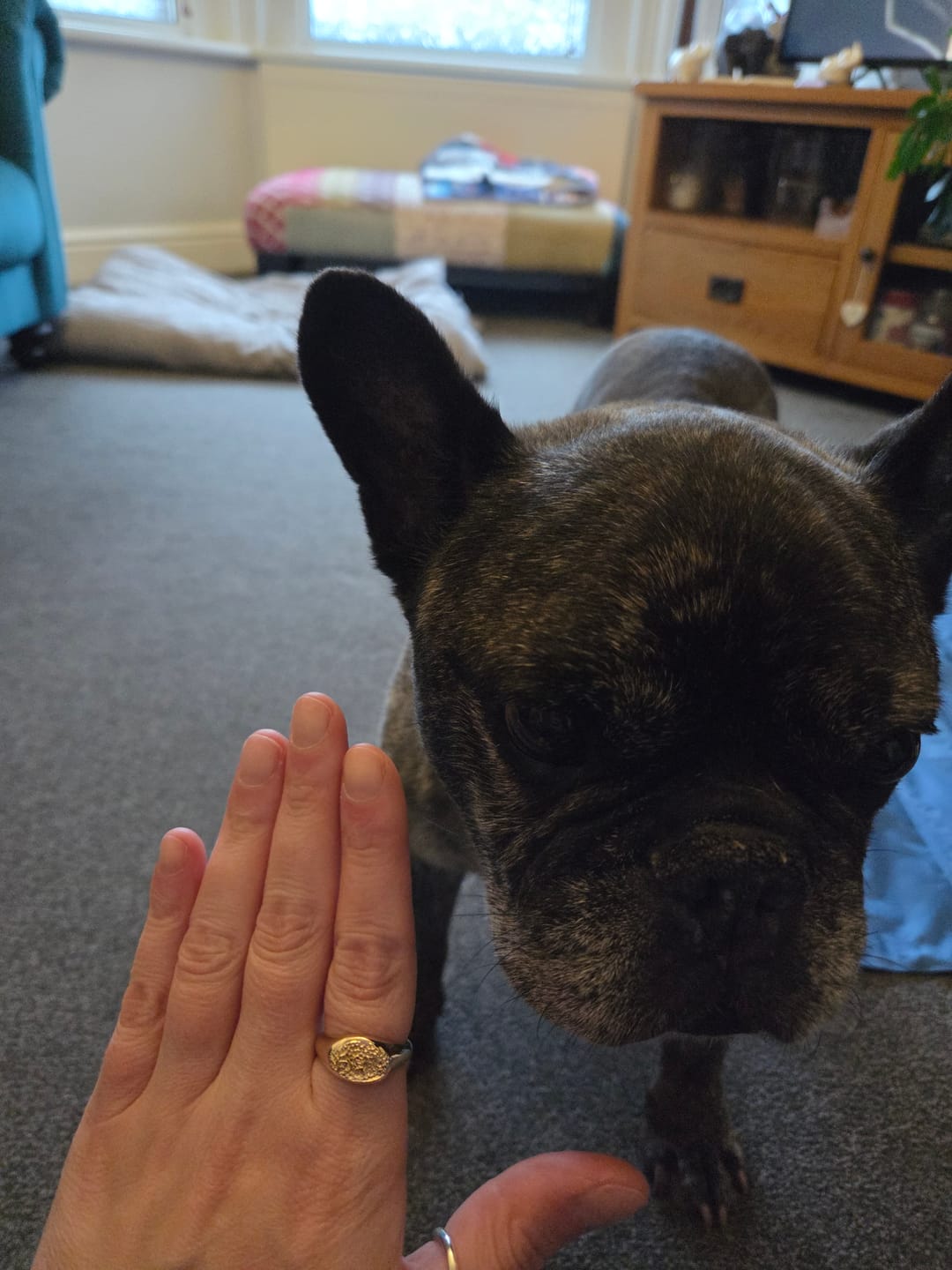 Customer photo review of Imprint Kit Oval Signet