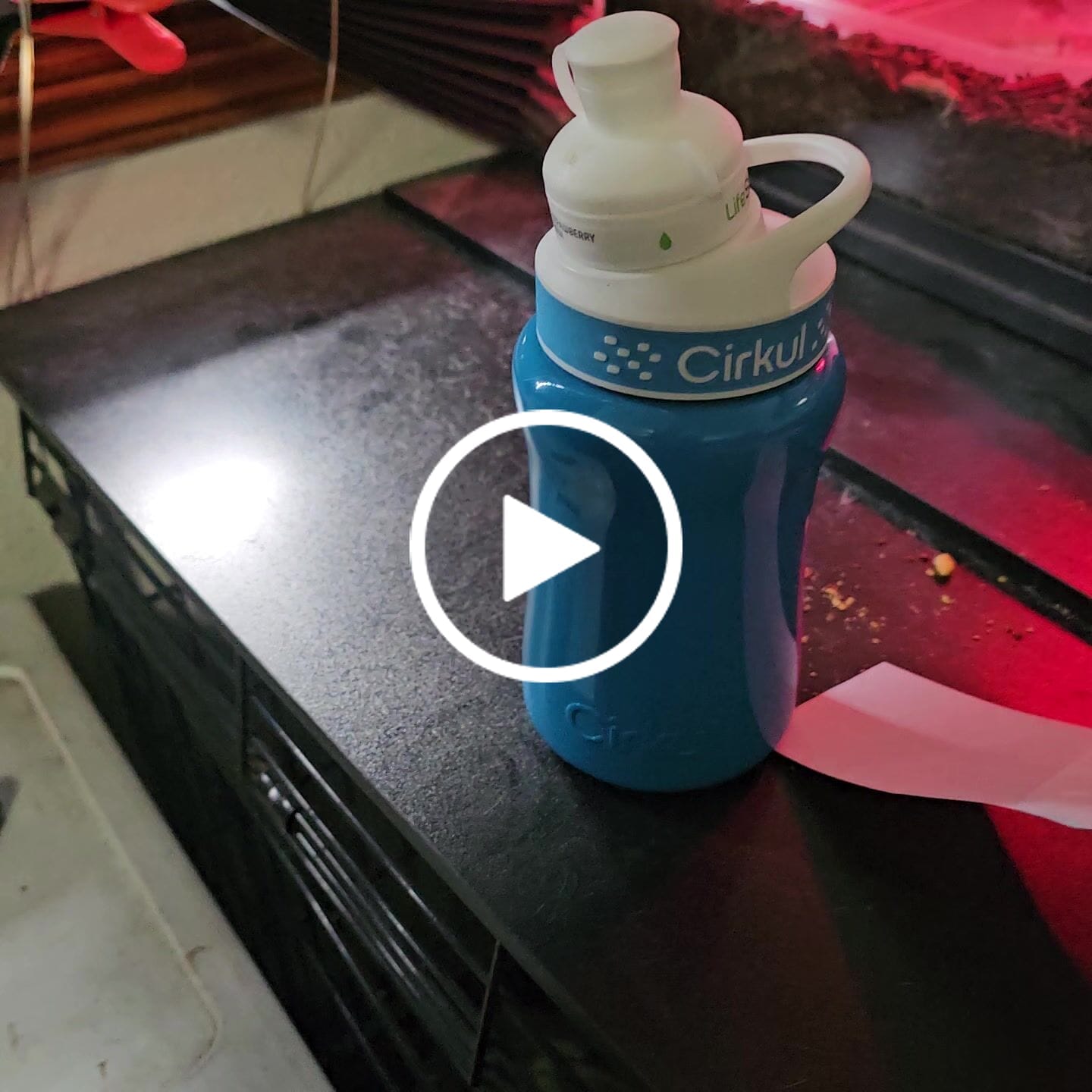 Customer video review of Add-on: 12oz. Stainless Steel Bottle & Comfort Grip Lid