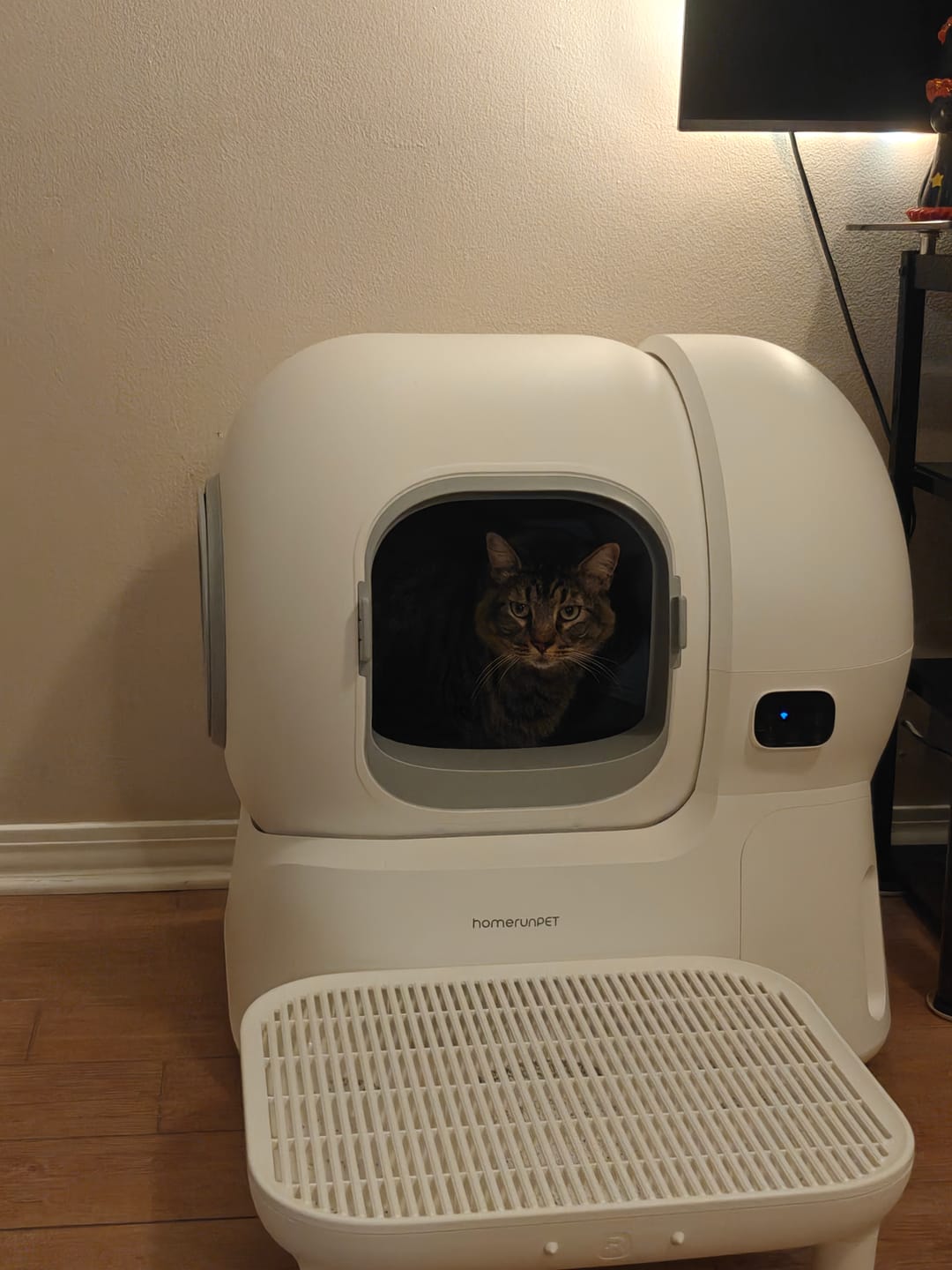 Customer photo review of Self-cleaning Litter Box CS106